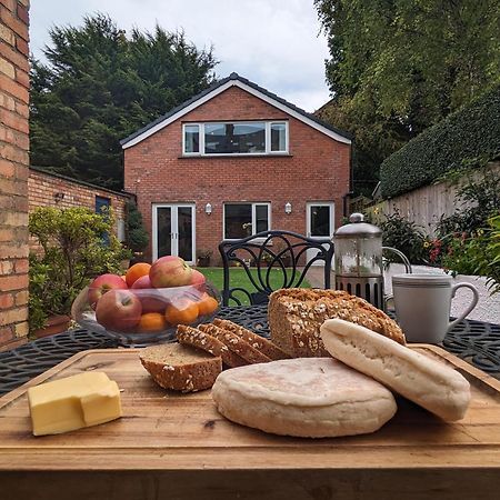 Bt 9 Granny Flat & Walled Garden Belfast Luaran gambar