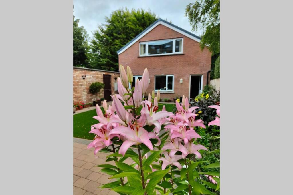 Bt 9 Granny Flat & Walled Garden Belfast Luaran gambar